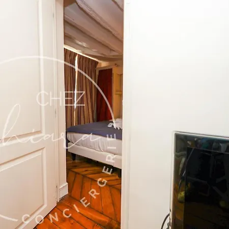 Appartement Beautiful Apartment near Châtelet Paris