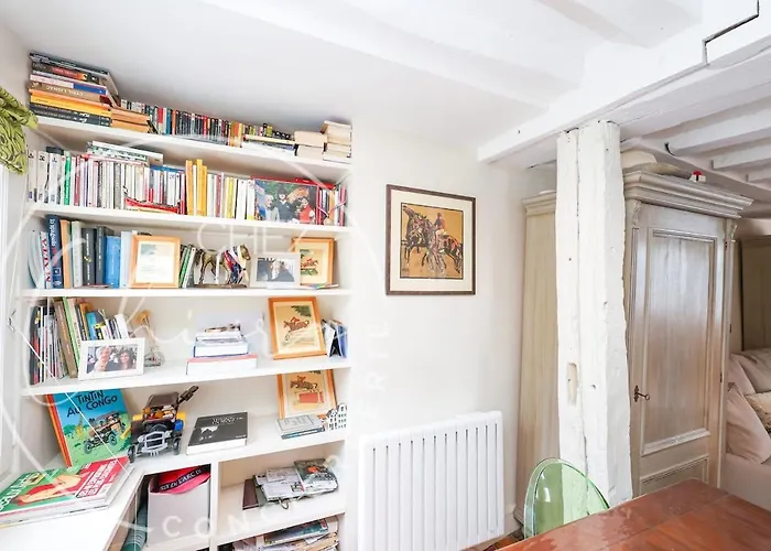 Appartement Beautiful Apartment near Châtelet *